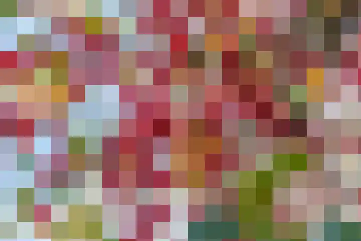 Allee 52 Dinxperlo thumbnail 45