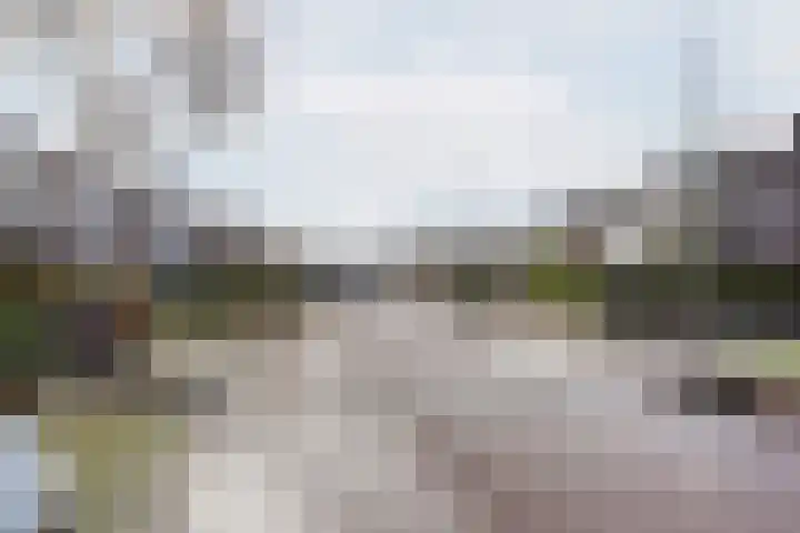 Allee 52 Dinxperlo thumbnail 48