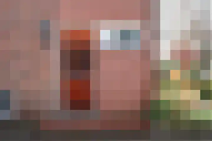 Allee 52 Dinxperlo thumbnail 7