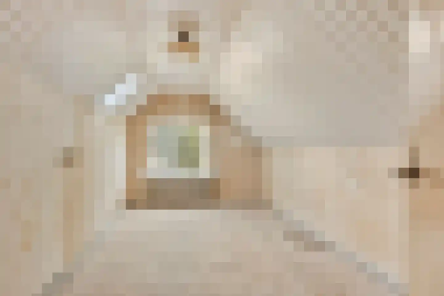 Allee 55 A Dinxperlo thumbnail 18