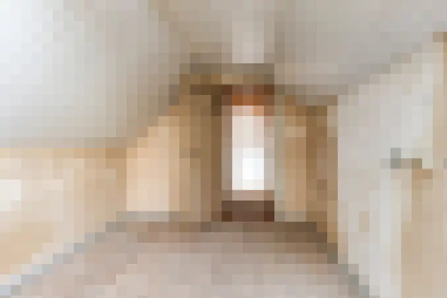 Allee 55 A Dinxperlo thumbnail 19