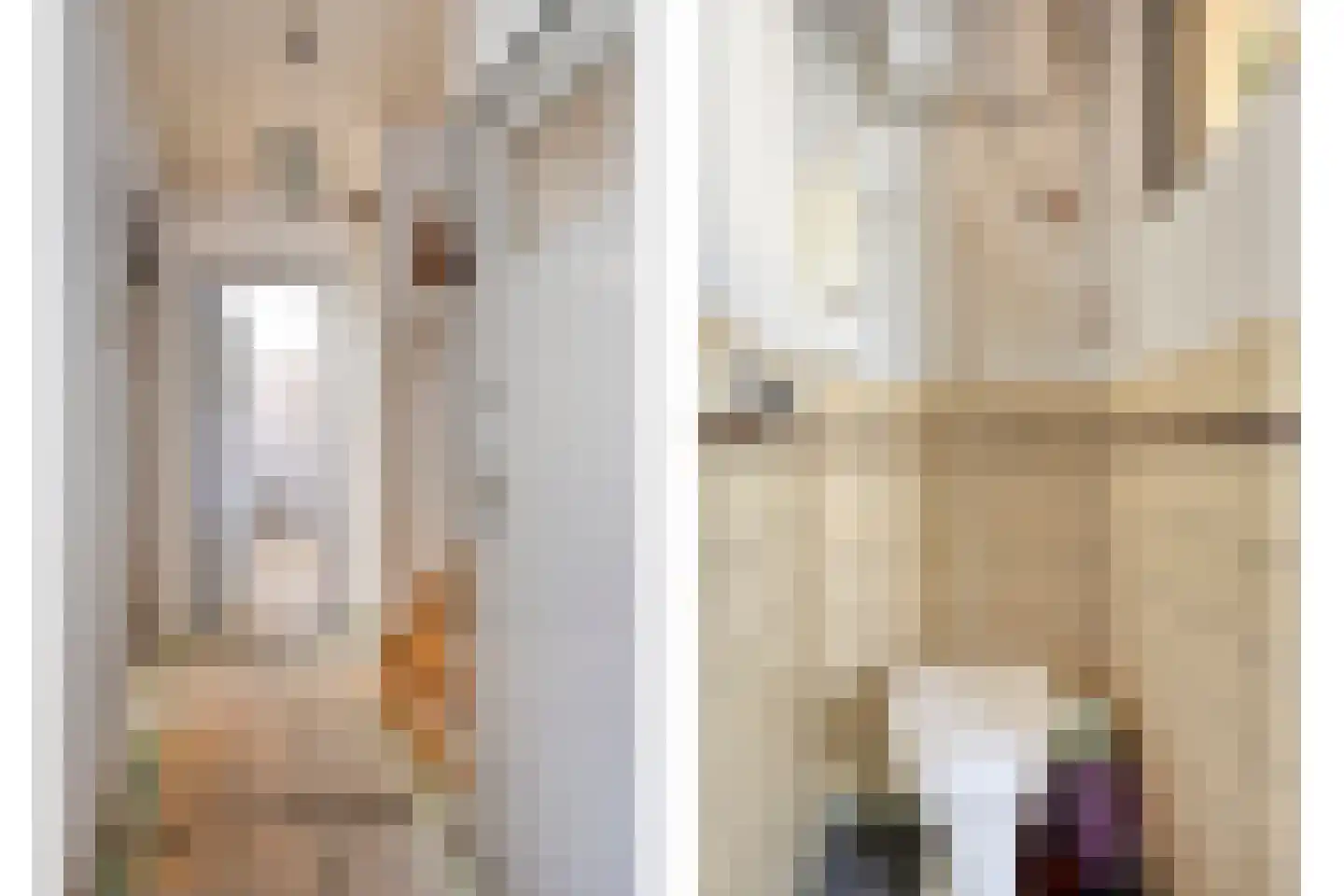 Allee 55 A Dinxperlo thumbnail 9