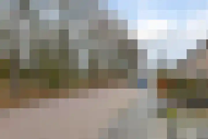 Allee 70 Hattem thumbnail 43