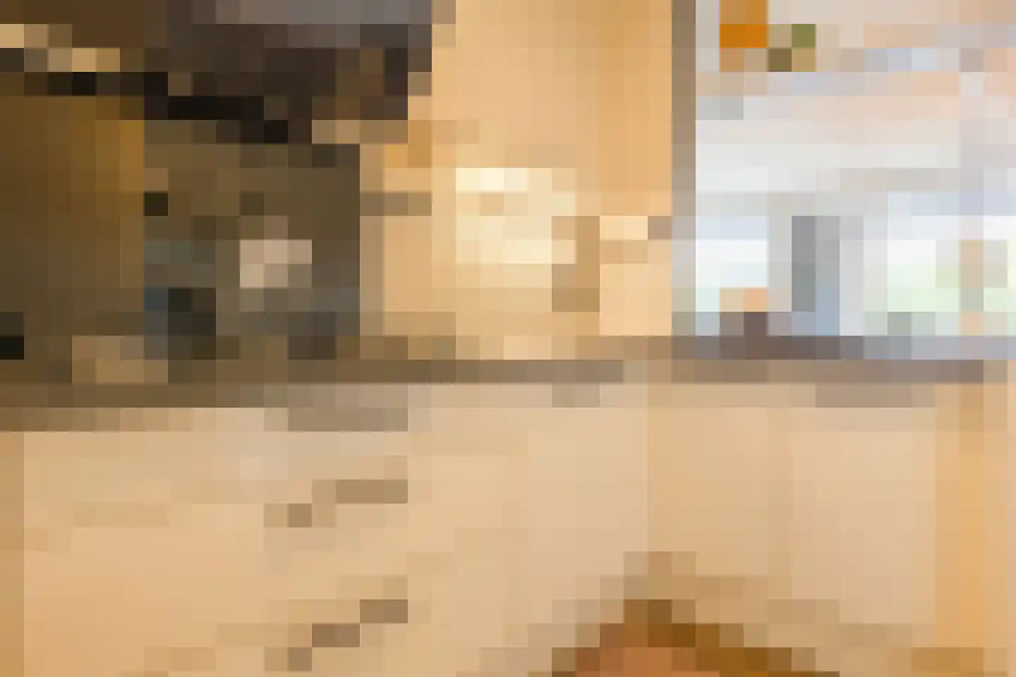 Alleenhouderstraat 115 12 Tilburg thumbnail 17