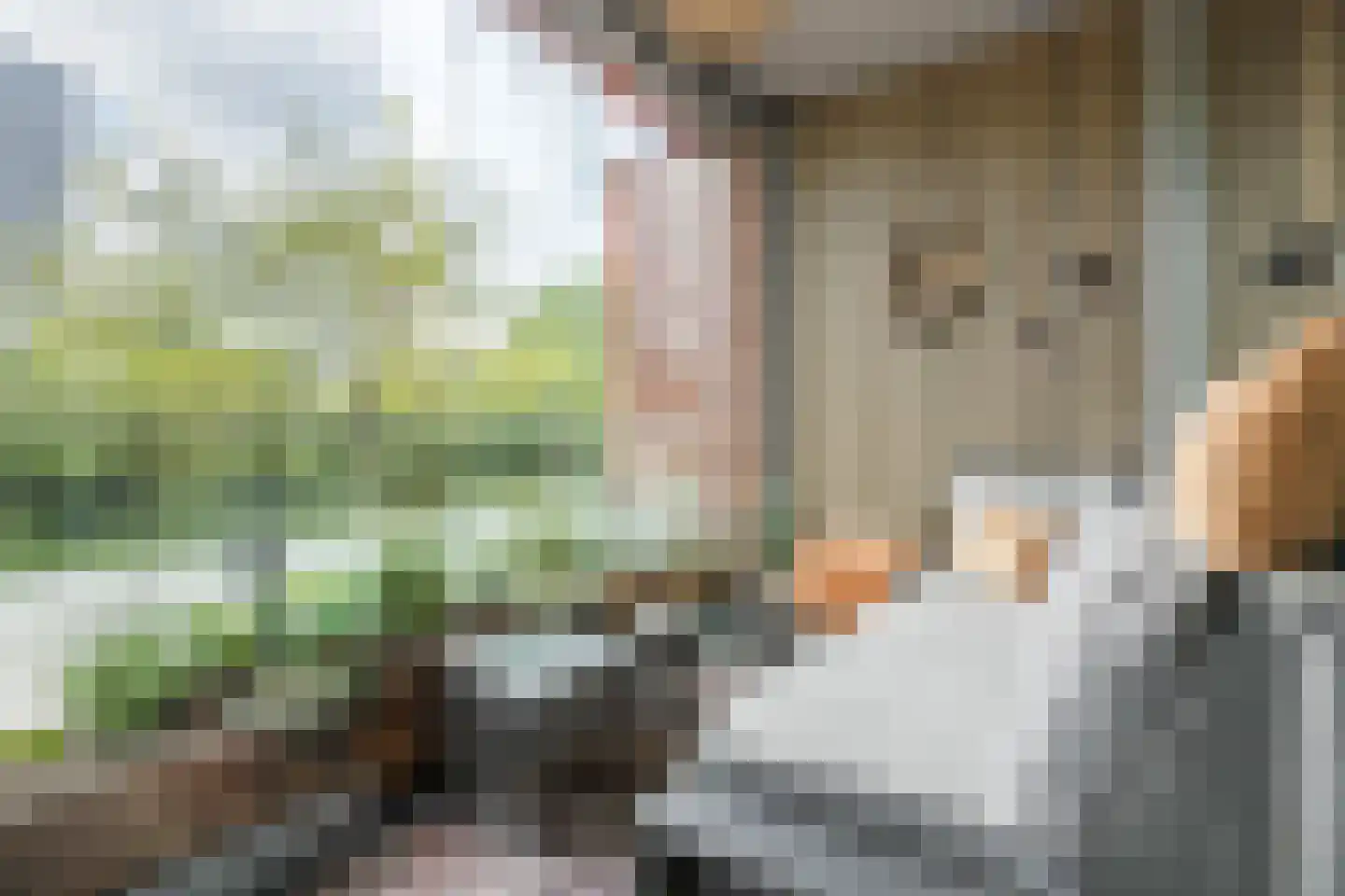 Alleenhouderstraat 115 12 Tilburg thumbnail 19
