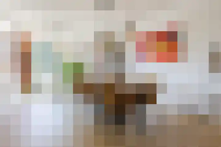 Alleenhouderstraat 115 23 Tilburg thumbnail 10