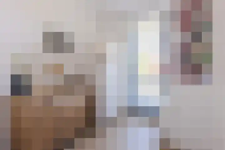 Alleenhouderstraat 115 23 Tilburg thumbnail 19