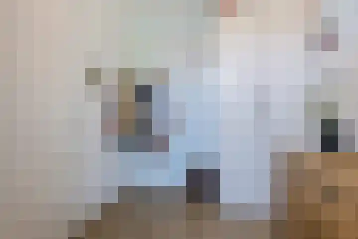 Alleenhouderstraat 115 23 Tilburg thumbnail 20