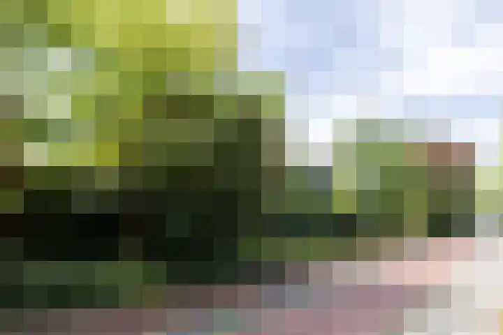 Alleenhouderstraat 115 23 Tilburg thumbnail 35