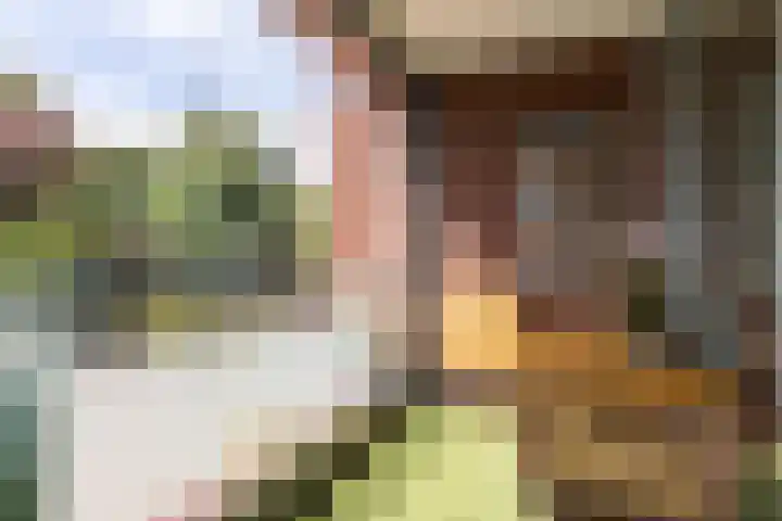 Alleenhouderstraat 115 23 Tilburg thumbnail 8