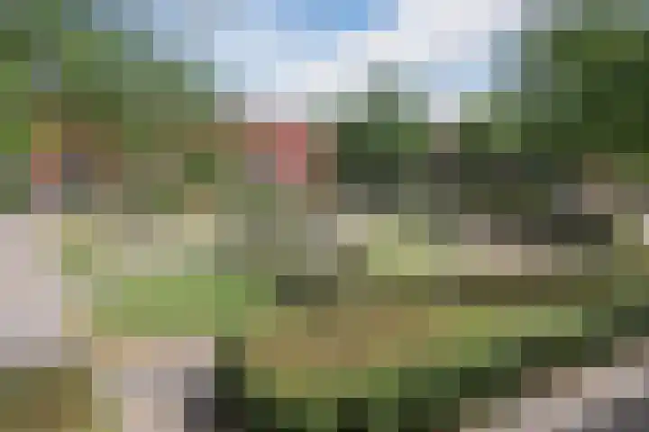 Alleenhouderstraat 115 24 Tilburg thumbnail 19