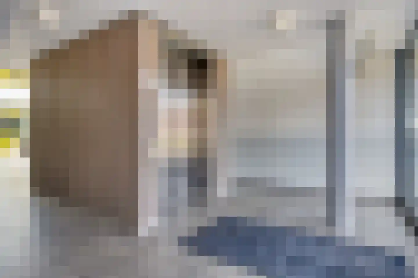 Alleenhouderstraat 115 45 Tilburg thumbnail 31