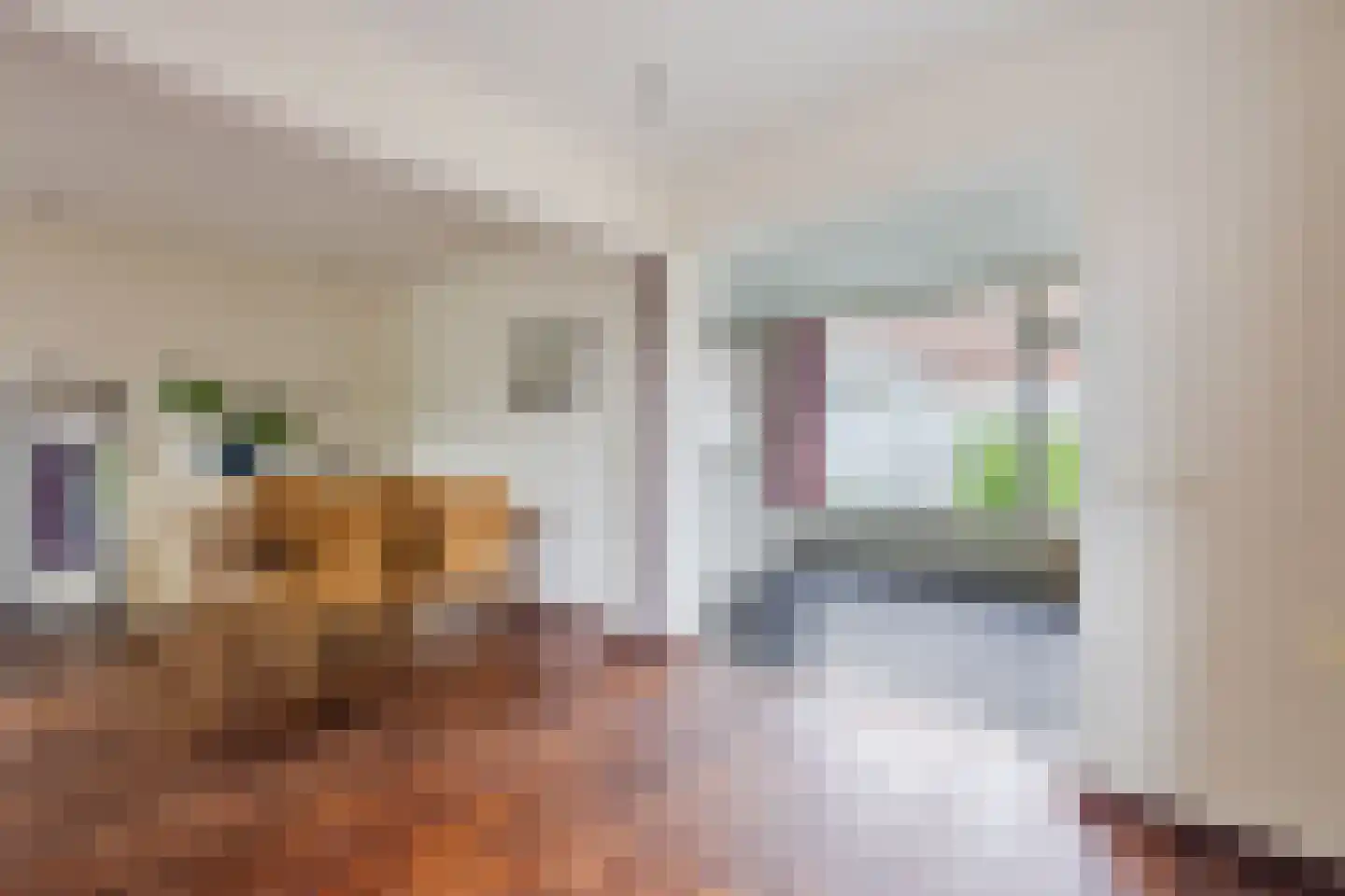 Alleenhouderstraat 55 Tilburg thumbnail 16