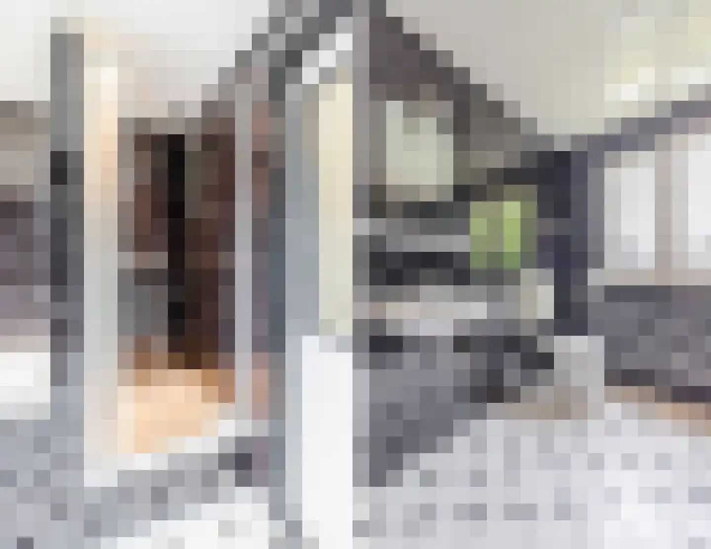 Alleenhouderstraat 55 Tilburg thumbnail 30