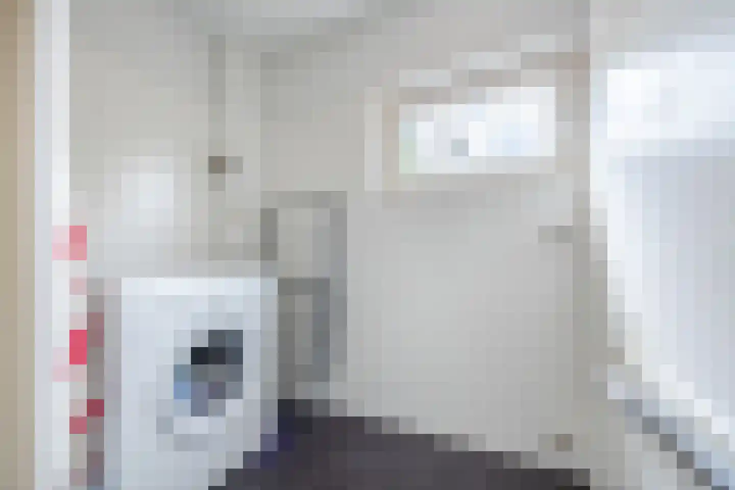 Alleenhouderstraat 55 Tilburg thumbnail 32