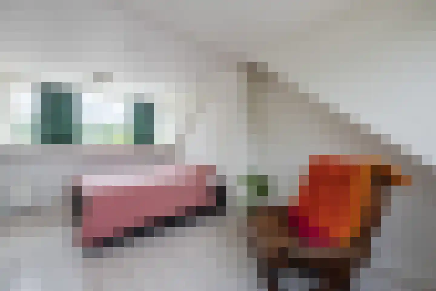 Alleenhouderstraat 55 Tilburg thumbnail 34