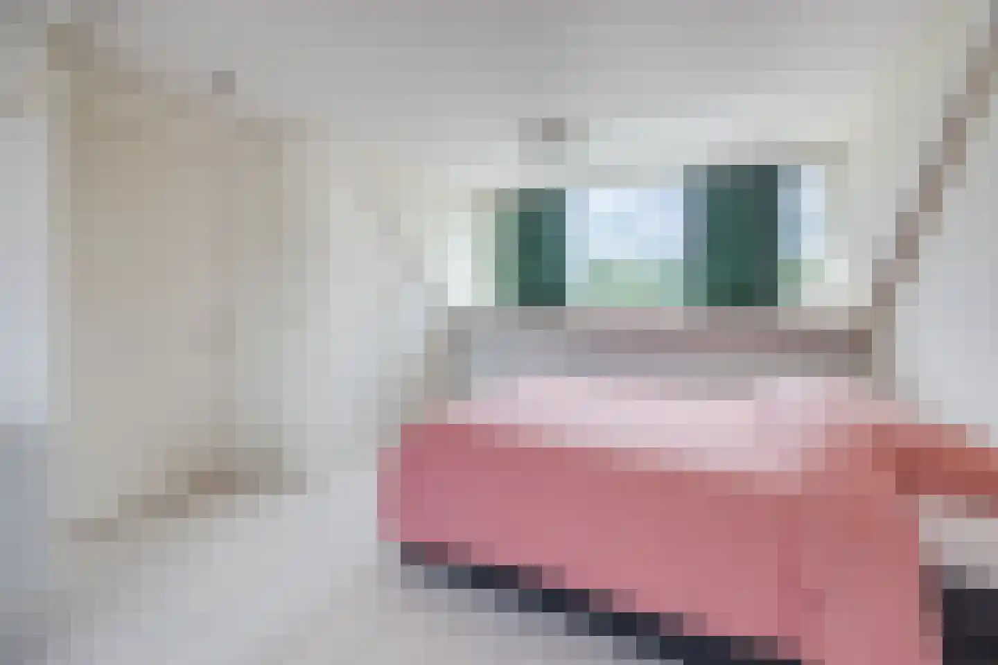 Alleenhouderstraat 55 Tilburg thumbnail 35