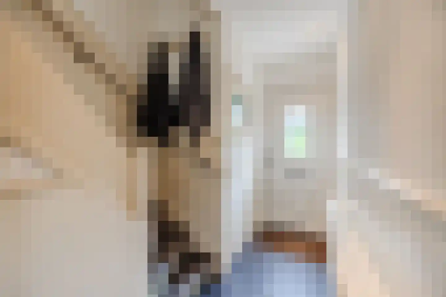 Alleenhouderstraat 55 Tilburg thumbnail 6