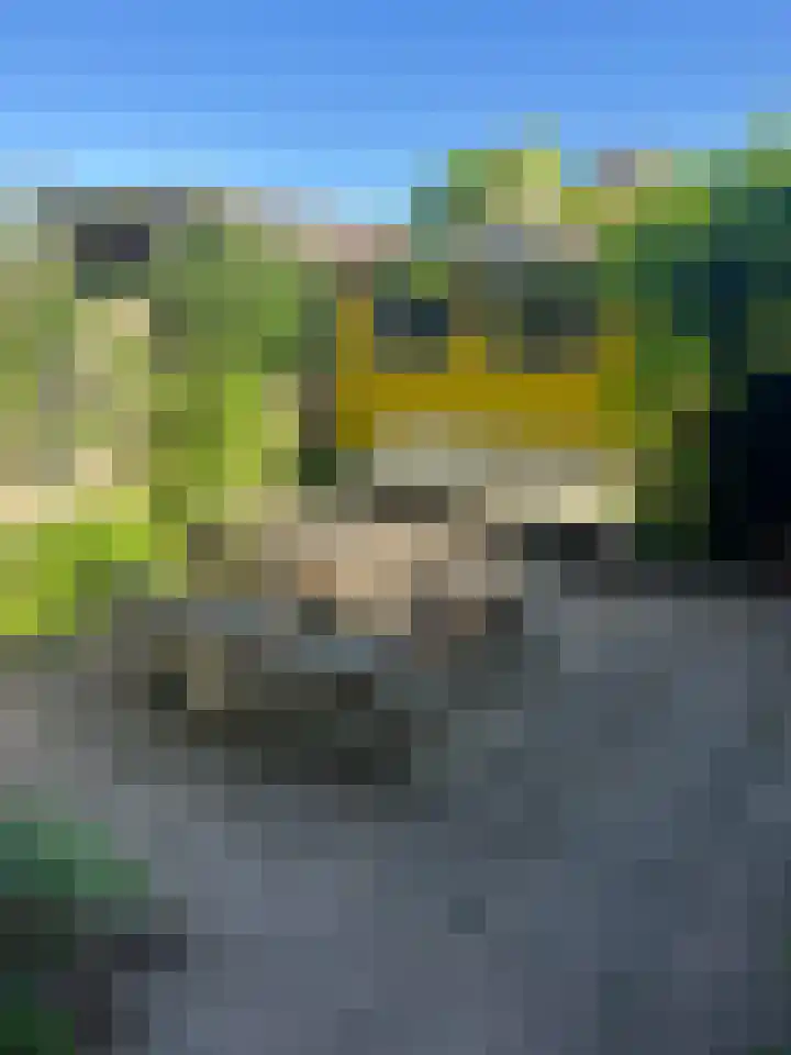 Alleenhouderstraat 63 Tilburg thumbnail 23