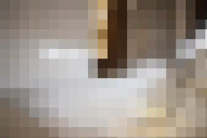 Alleenhouderstraat 63 Tilburg thumbnail 36