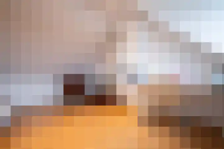 Alleenhouderstraat 63 Tilburg thumbnail 38