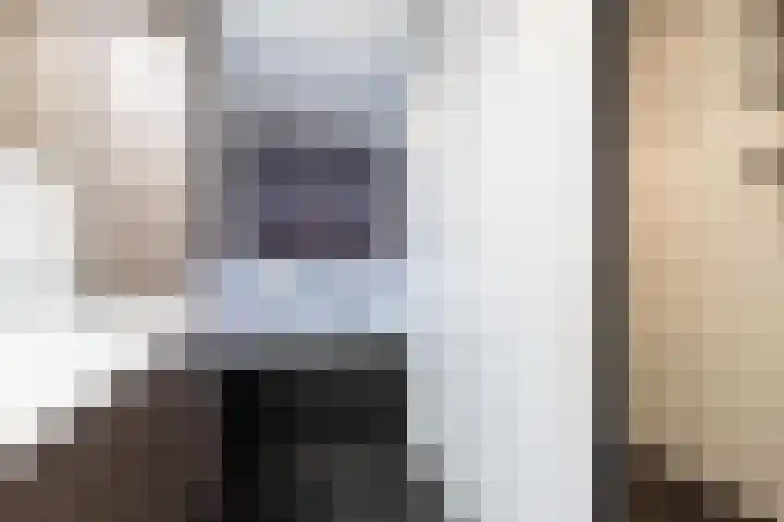 Alleenhouderstraat 63 Tilburg thumbnail 4