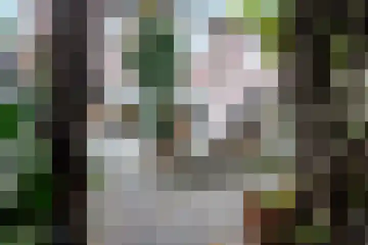 Alleenhouderstraat 63 Tilburg thumbnail 5
