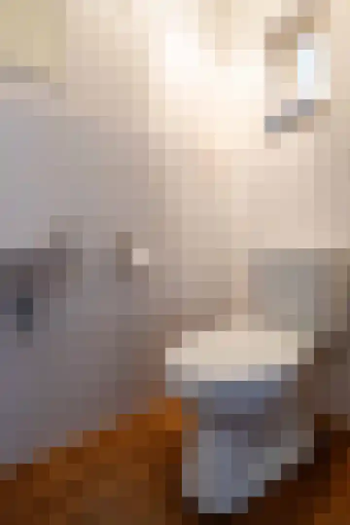 Alleenhouderstraat 63 Tilburg thumbnail 9