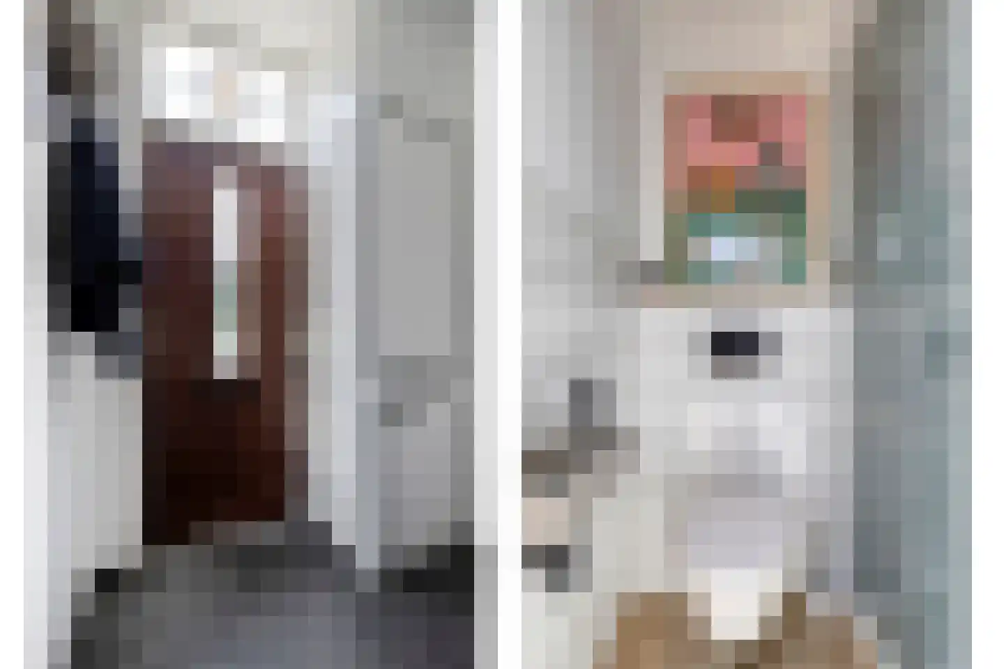 Alleenhouderstraat 99 Tilburg thumbnail 14