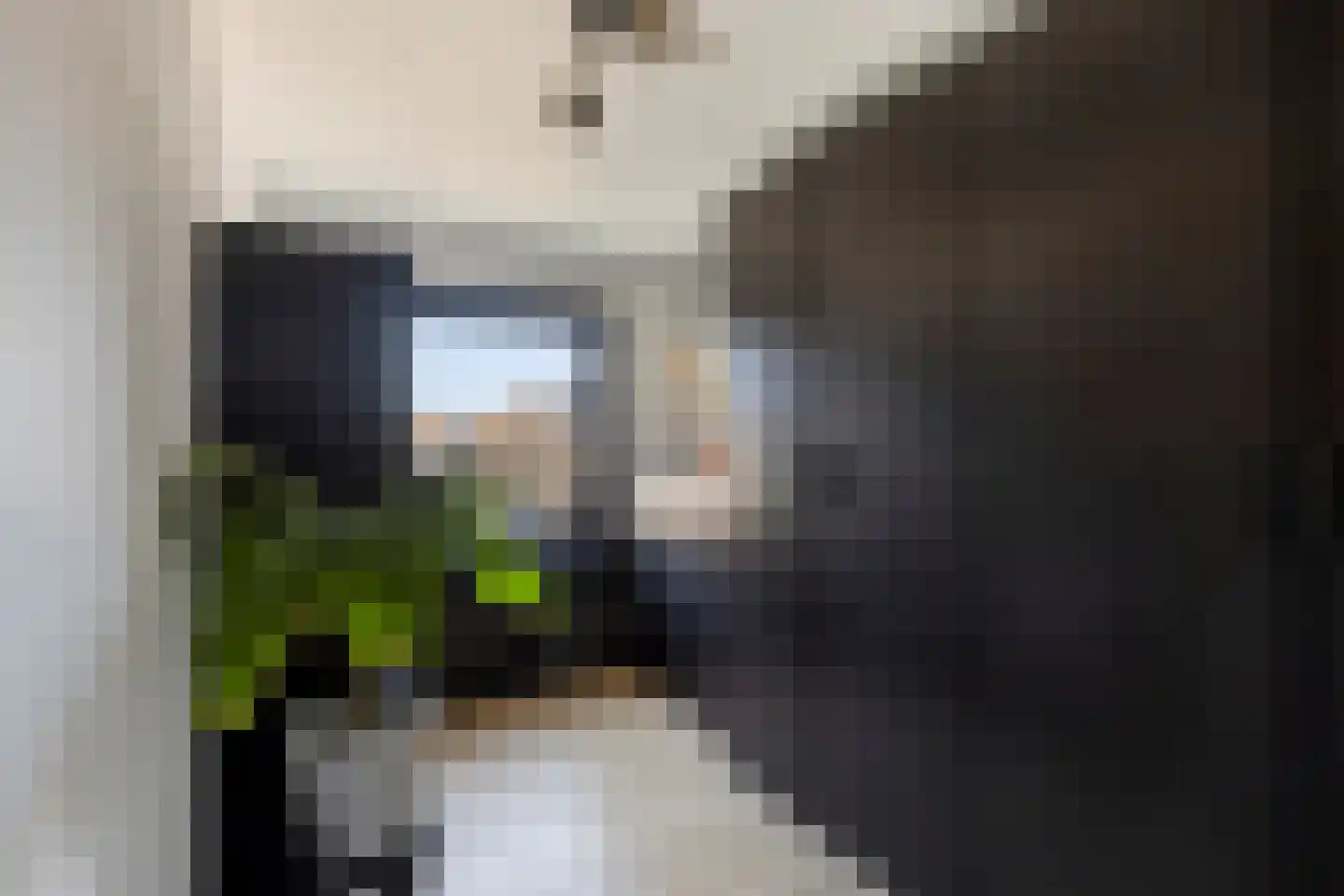 Alleenhouderstraat 99 Tilburg thumbnail 21