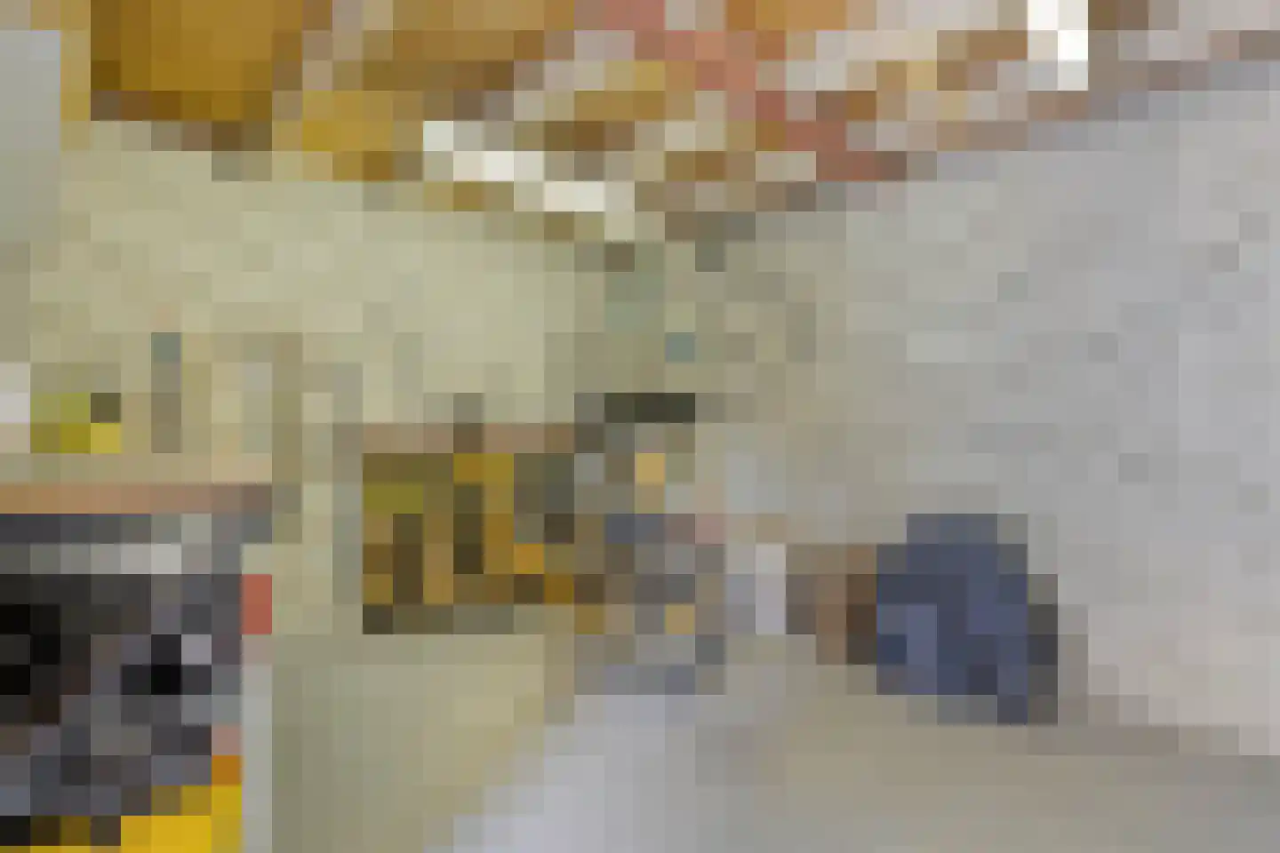 Alleenhouderstraat 99 Tilburg thumbnail 26