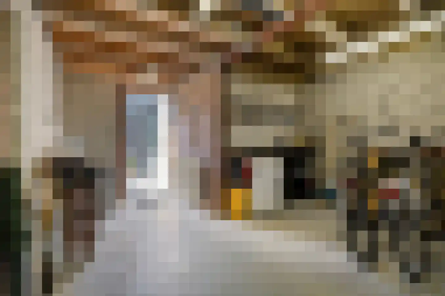 Alleenhouderstraat 99 Tilburg thumbnail 27