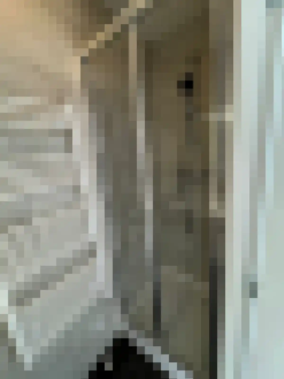 Alleenhouderstraat Tilburg thumbnail 5