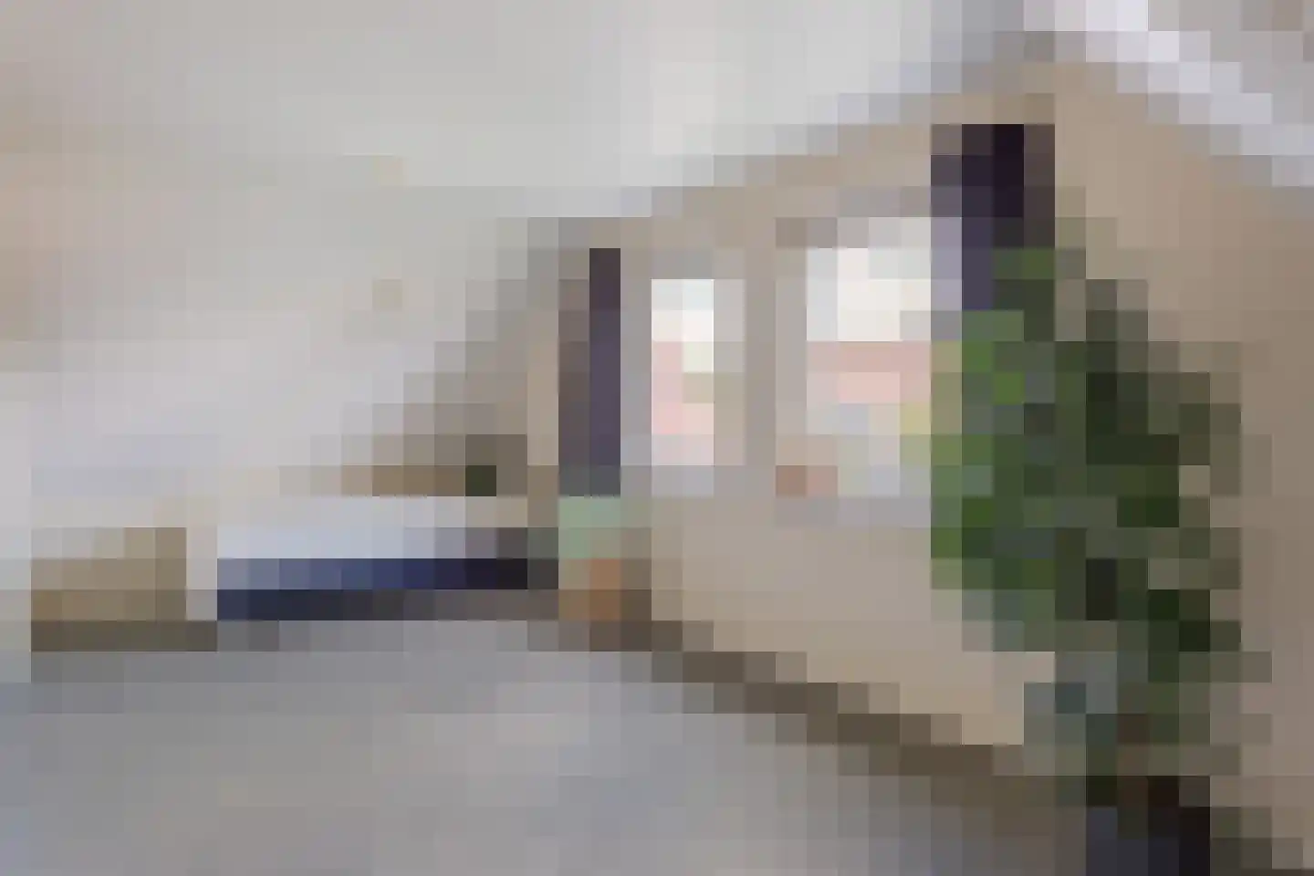 Alleeweg 17 Ootmarsum thumbnail 18