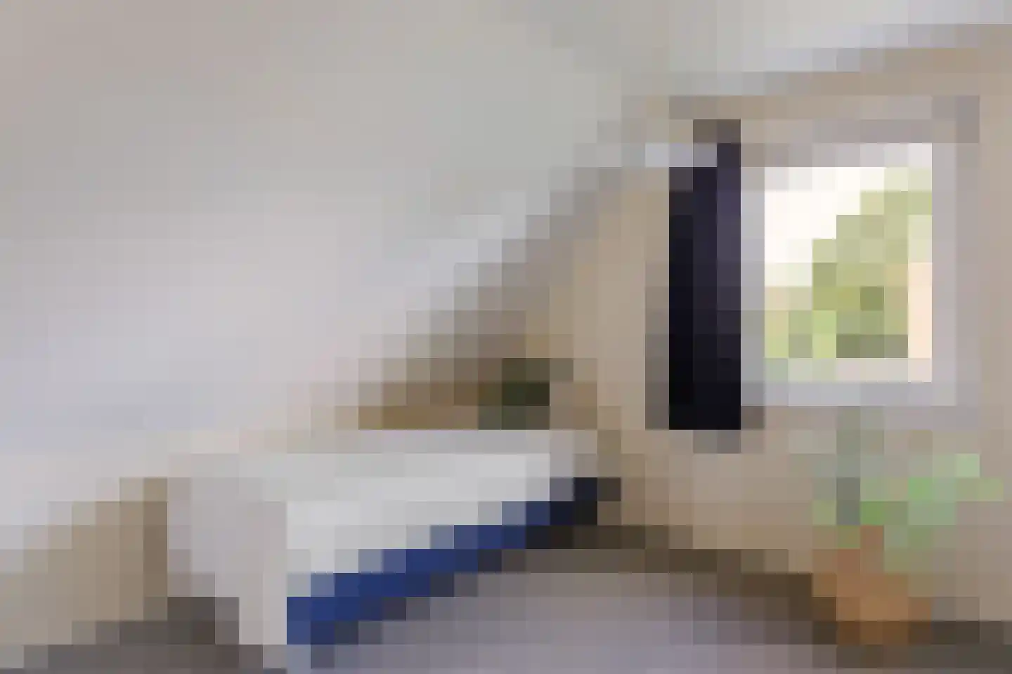 Alleeweg 17 Ootmarsum thumbnail 19