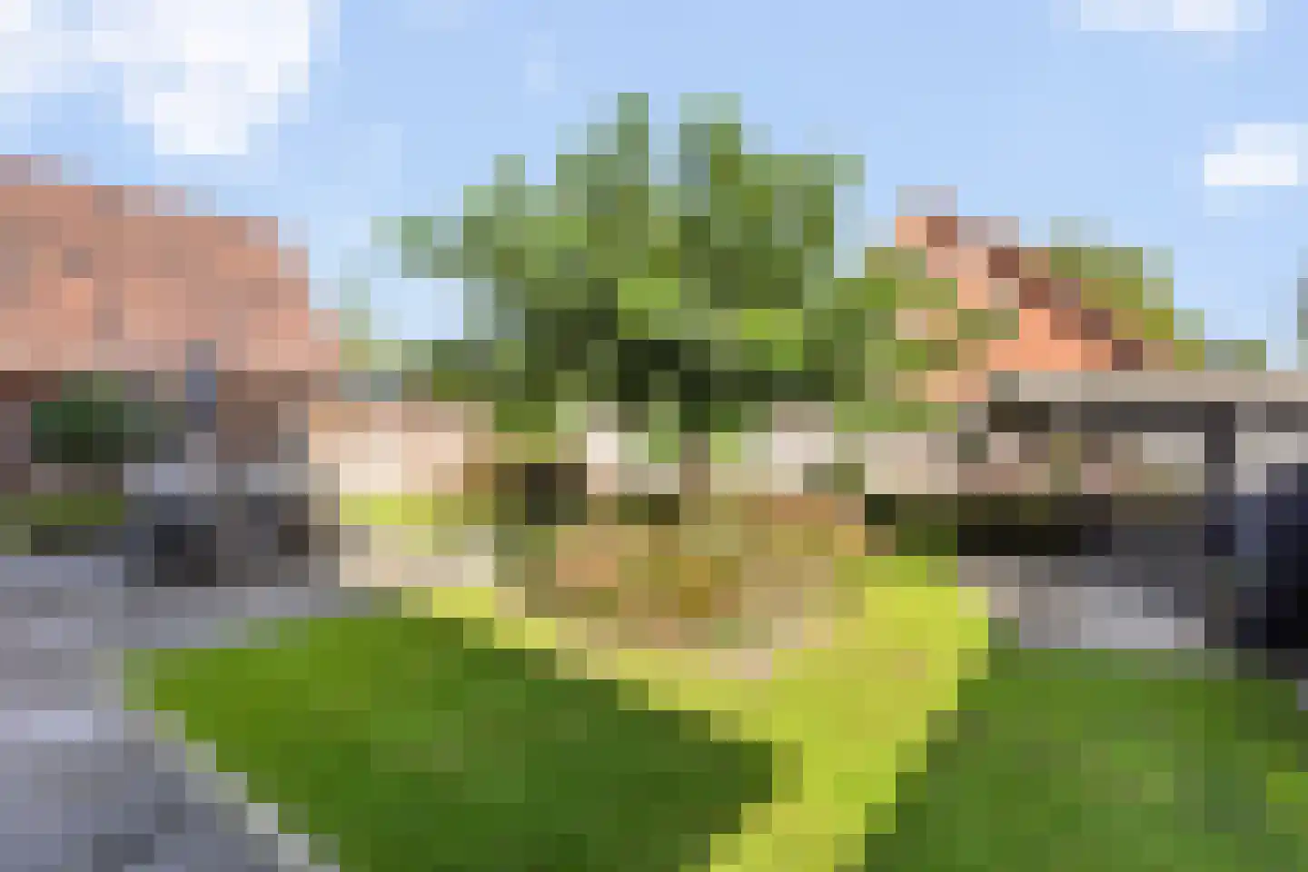 Alleeweg 17 Ootmarsum thumbnail 24