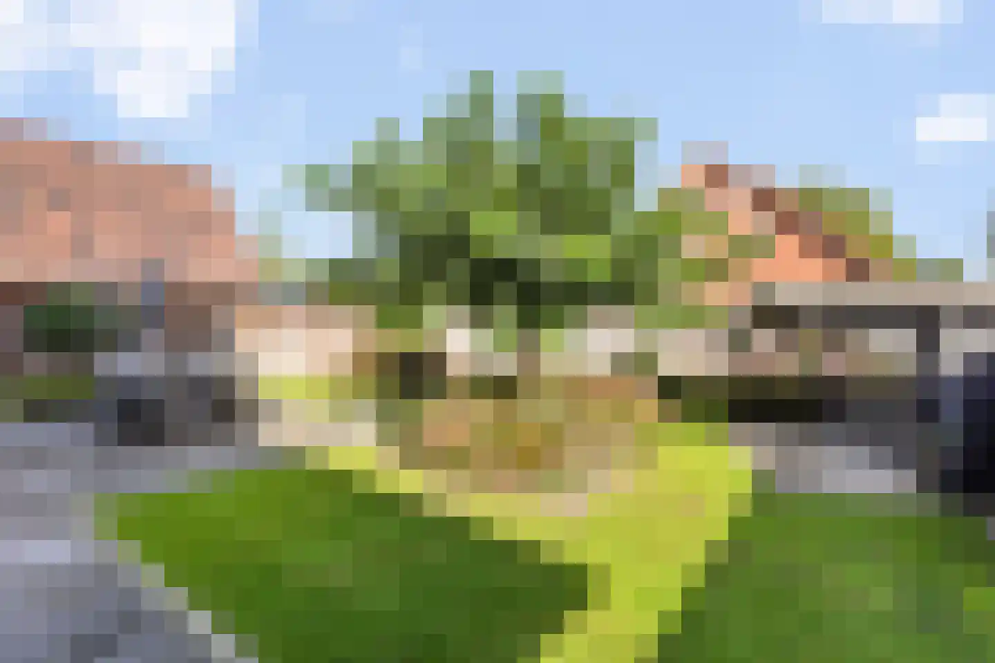 Alleeweg 17 Ootmarsum thumbnail 7