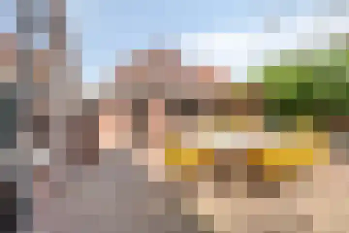 Alleeweg 2 Oldenzaal thumbnail 36