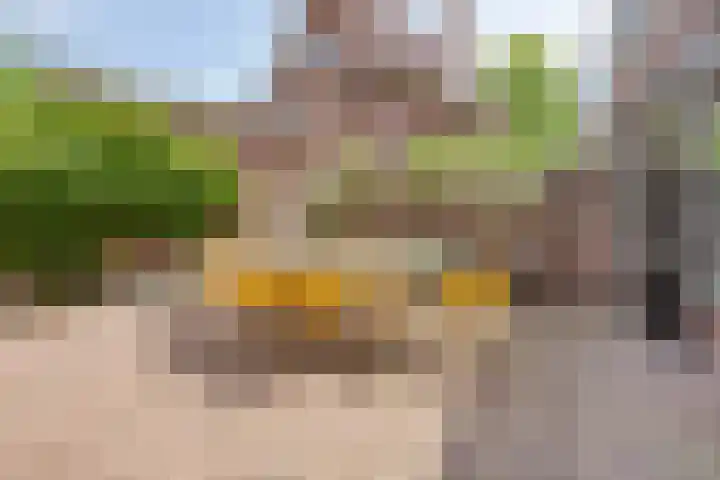 Alleeweg 2 Oldenzaal thumbnail 37