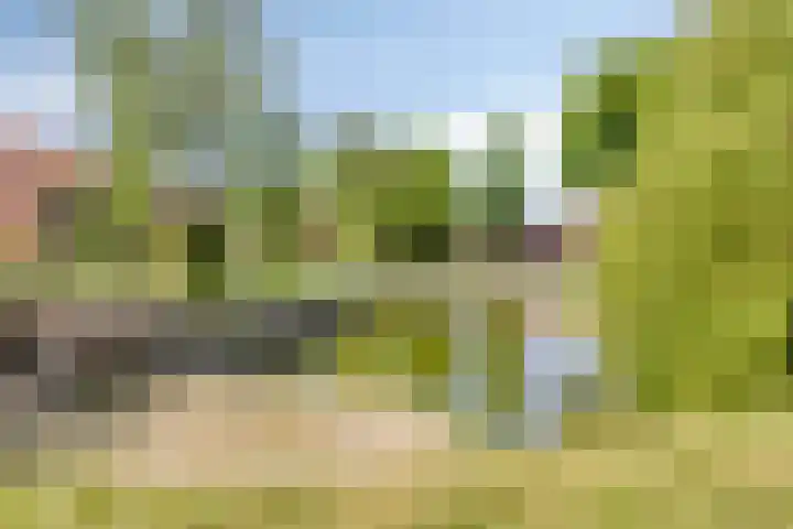Alleeweg 2 Oldenzaal thumbnail 45
