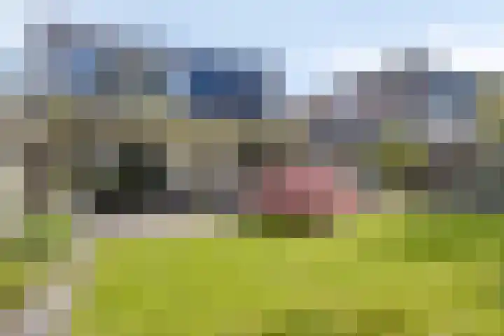 Alleeweg 31 Oldenzaal thumbnail 24