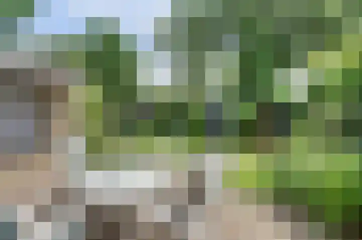 Alleeweg 70 Oldenzaal thumbnail 18