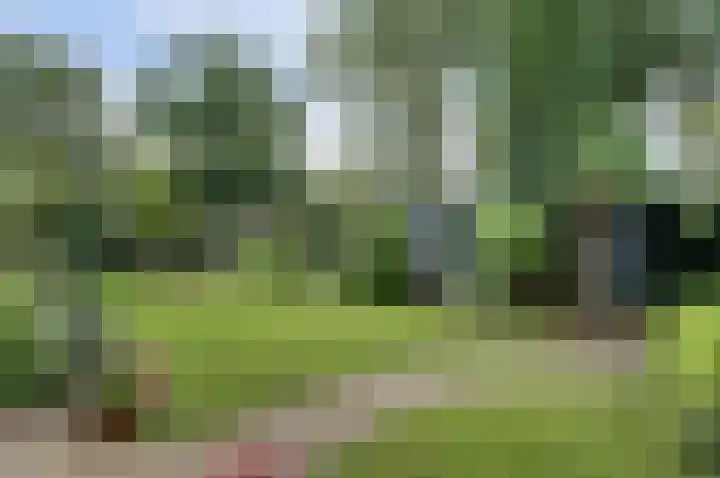 Alleeweg 70 Oldenzaal thumbnail 19
