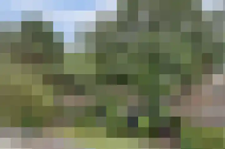 Alleeweg 70 Oldenzaal thumbnail 35
