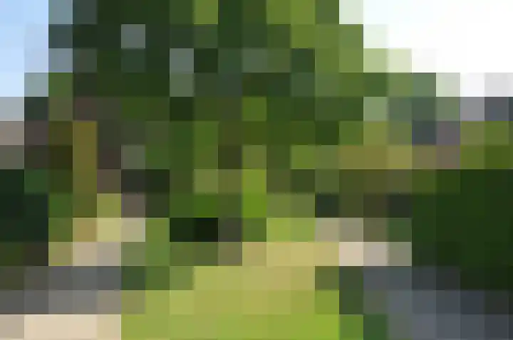 Alleeweg 70 Oldenzaal thumbnail 4