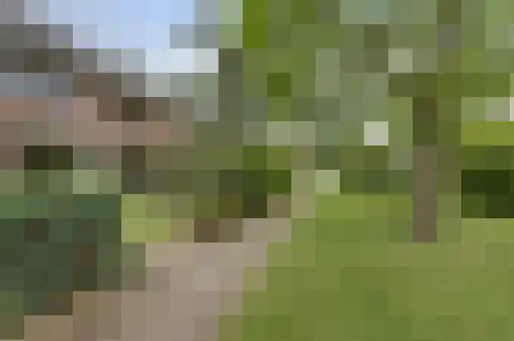 Alleeweg 70 Oldenzaal thumbnail 7