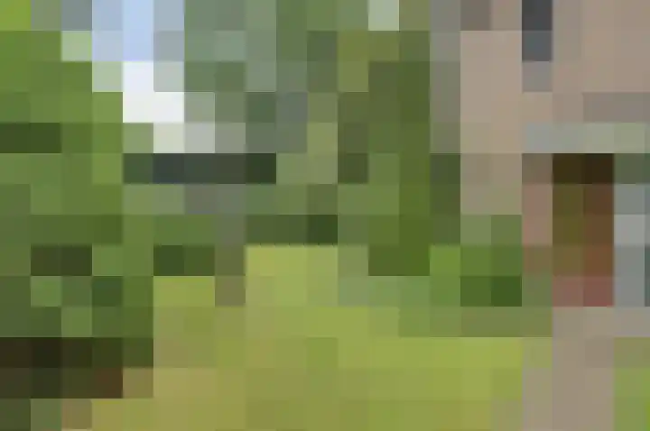 Alleeweg 70 Oldenzaal thumbnail 8