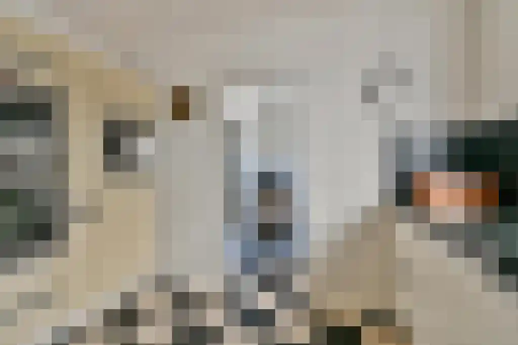 Allegondahoeve 24 Hoofddorp thumbnail 10