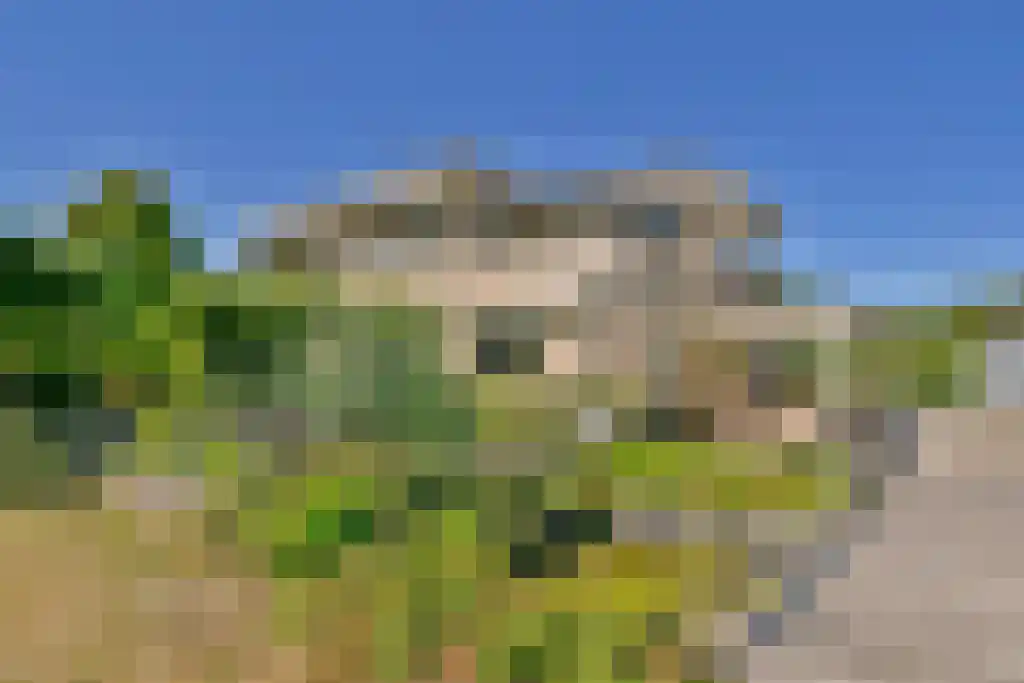 Allegondahoeve 24 Hoofddorp thumbnail 23