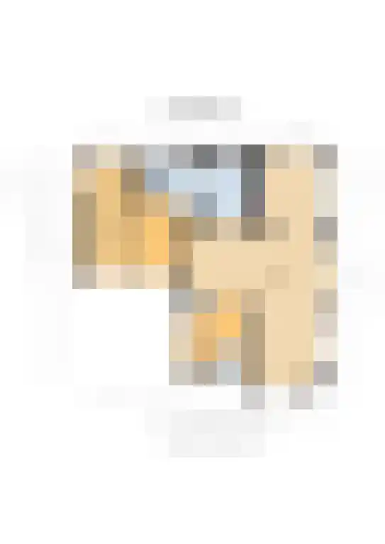 Allegondahoeve 24 Hoofddorp thumbnail 32